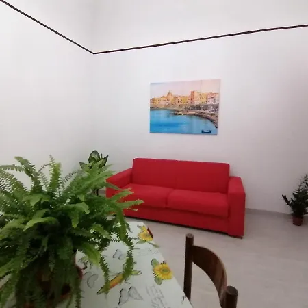 Tulipano Trapani